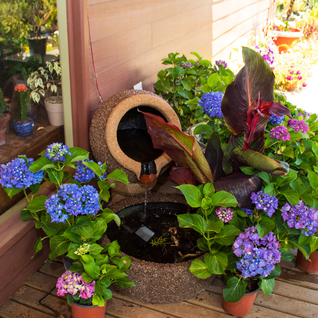 Jardín Encanto del Valle